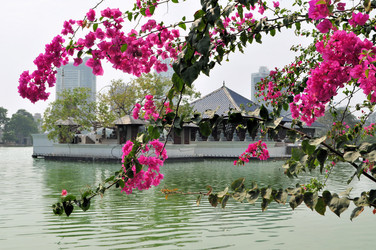 Similar image 7513944