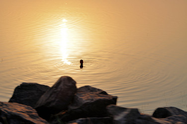 Similar image 7513954