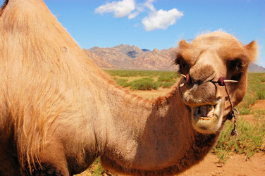 Similar image 7513989