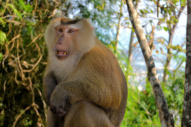 Similar image 7513990