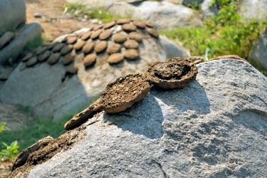 Similar image 7514000