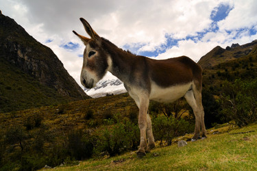 Similar image 7514011