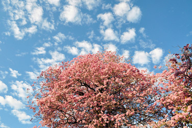 Similar image 7514041