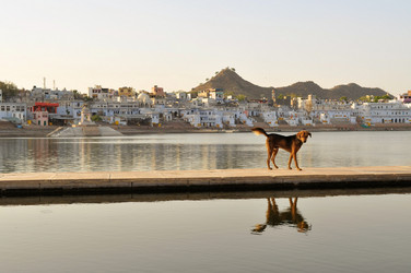 Similar image 7514049