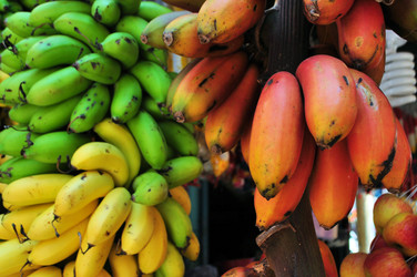 Similar image 7514052