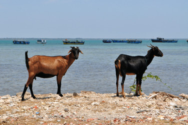 Similar image 7514058