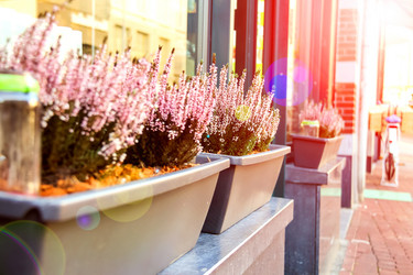 Similar image 7514093