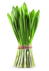 Similar image 7514302