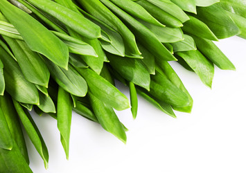 Similar image 7514305