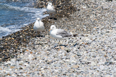 Similar image 7514325