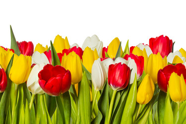 Similar image 7514332