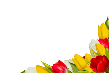 Similar image 7514335