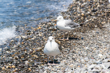 Similar image 7514342