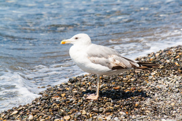 Similar image 7514345