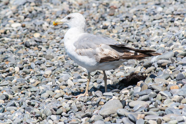 Similar image 7514348