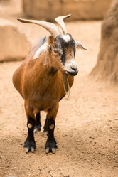 Similar image 7514350