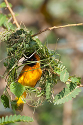 Similar image 7514353