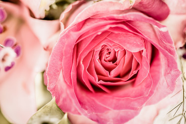 Similar image 7514356