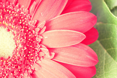 Similar image 7514534