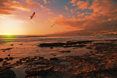 Similar image 7514541