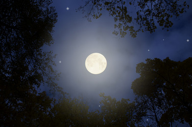 Similar image 7514545