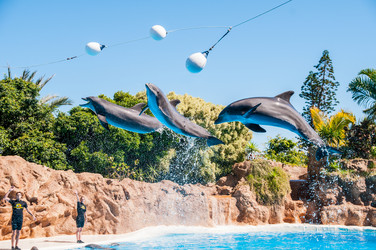 Similar image 7514552