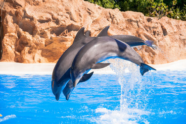 Similar image 7514553