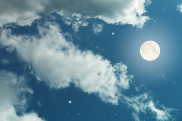 Similar image 7514559