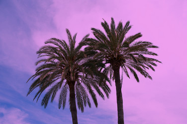 Similar image 7514574