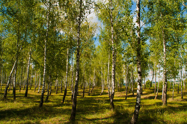 Similar image 7514588