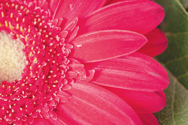 Similar image 7514589