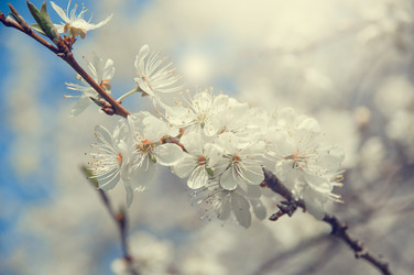 Similar image 7514603