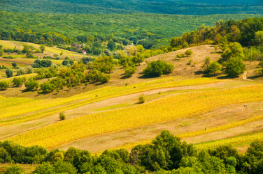 Similar image 7514604