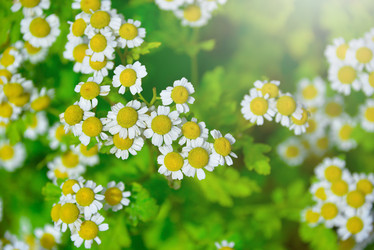 Similar image 7514608