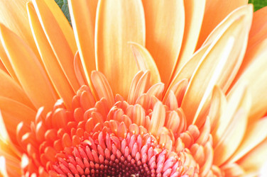 Similar image 7514607