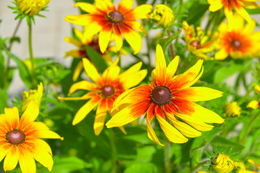 Similar image 7514610