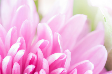 Similar image 7514611