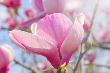 Similar image 7514612