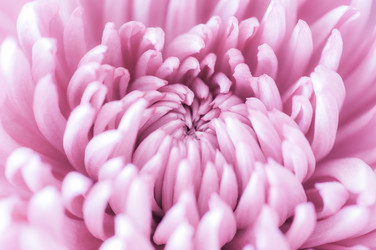 Similar image 7514613