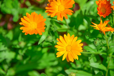 Similar image 7514618