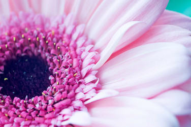 Similar image 7514619