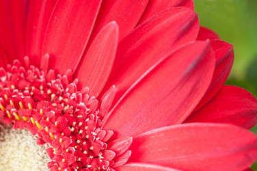 Similar image 7514623