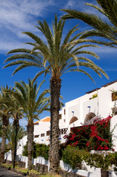 Similar image 7514626