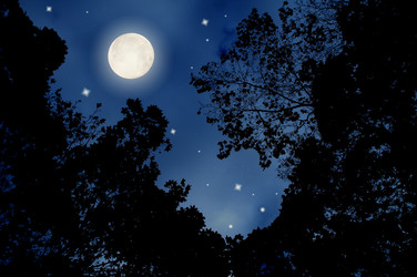 Similar image 7514627