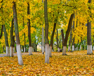 Similar image 7514629