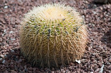 Similar image 7514628