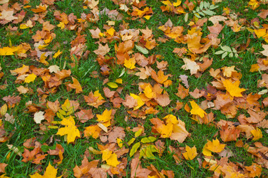 Similar image 7514631