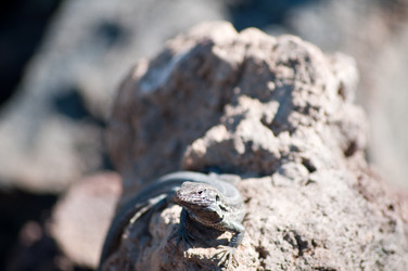 Similar image 7514637