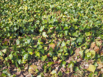 Similar image 7514824