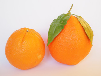 Similar image 7514831